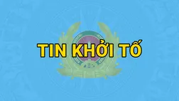 link dubai palace tỉnh Phú Thọ khởi tố vụ án về xâm phạm quyền tác giả đối với phần mềm máy tính